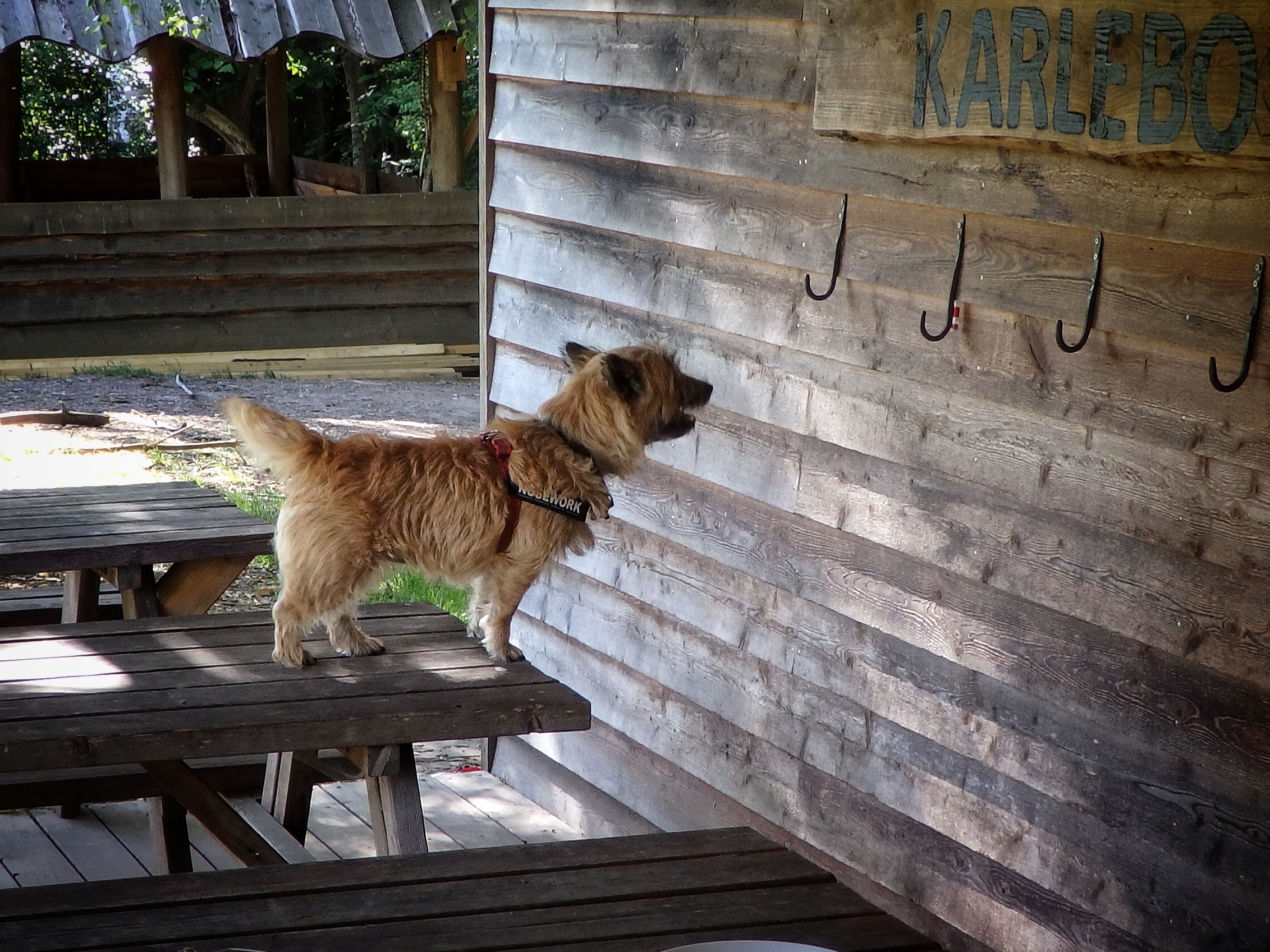 Endnu mere snus i Karlebo
