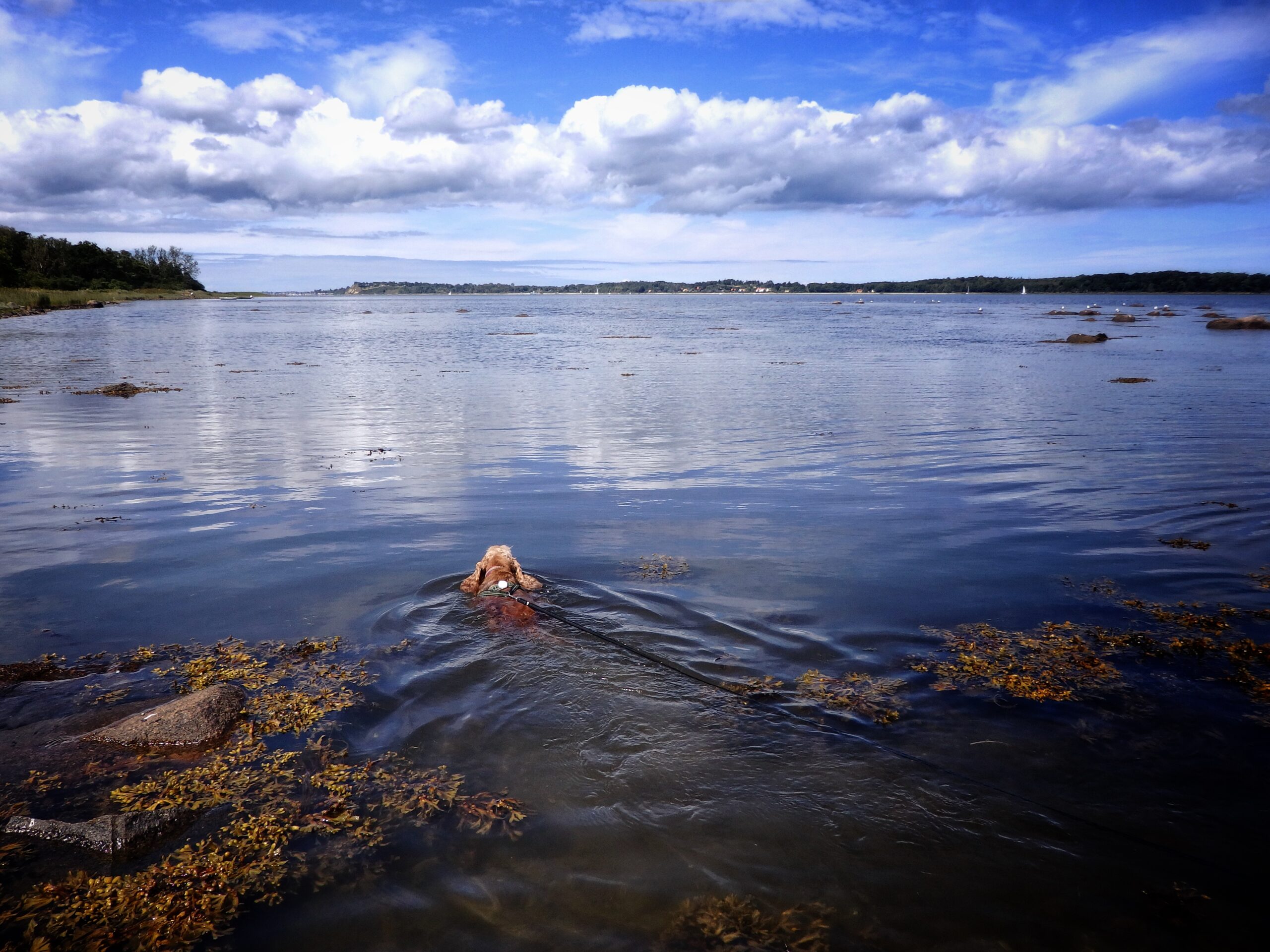 Karla & Tilde i vandet | Kulhuse